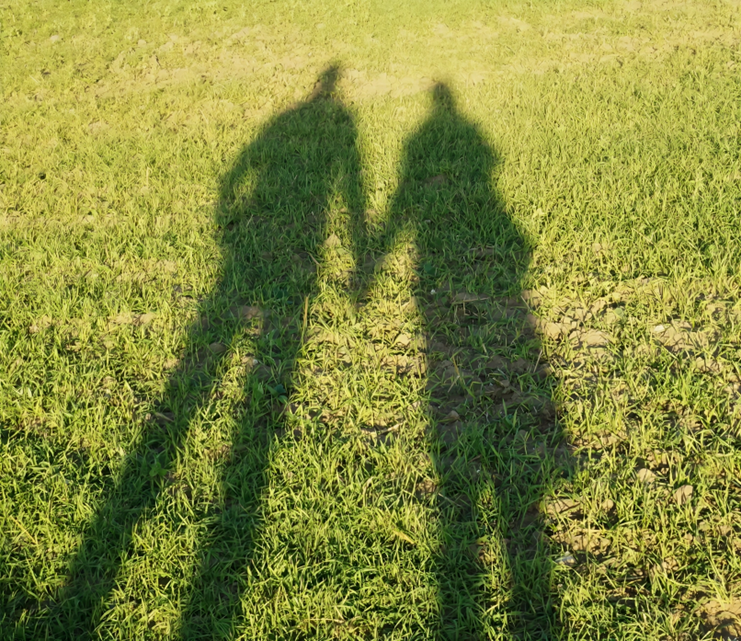 ystemische Praxis Dünwald - Systemische Beratung und Therapie - Schatten zweier Menschen